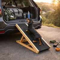 Adjustable Folding Dog & Cat Ramp