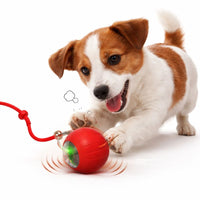 Smart Rolling Play Cat & Dog Ball Toy