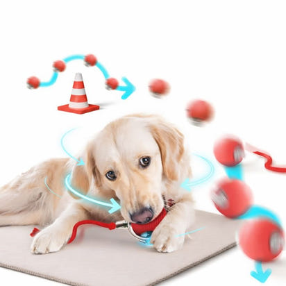 Smart Rolling Play Cat & Dog Ball Toy