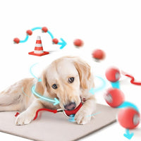 Smart Rolling Play Cat & Dog Ball Toy