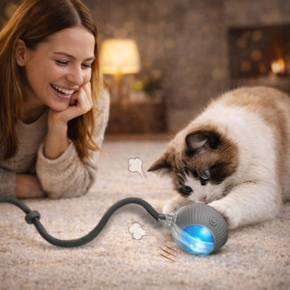 Smart Rolling Play Cat & Dog Ball Toy