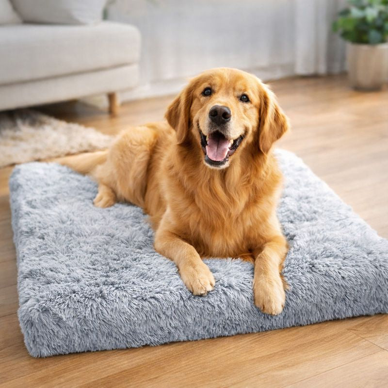 Calming Dog Sofa Bed