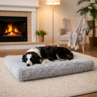 Calming Dog Sofa Bed