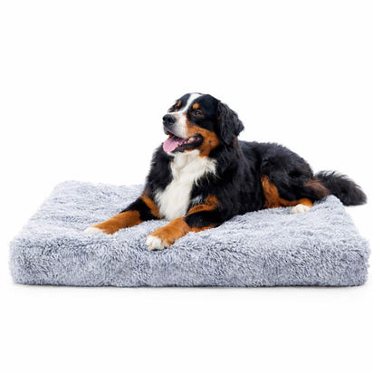 Calming Dog Sofa Bed