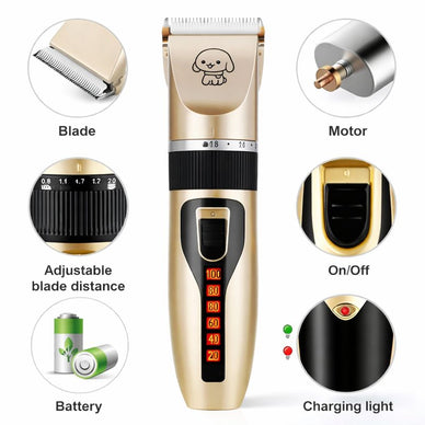 Gentle Care for Beautiful, Healthy Coats