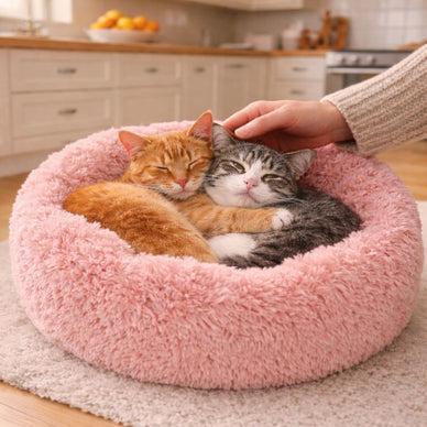 Endless Comfort. Deep Sleep.