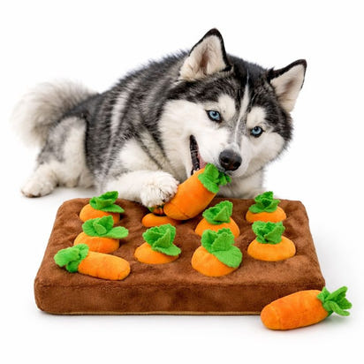 Anxiety Relief Dog Snuffle Mat Puzzle Toy