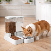 Automatic Pet Feeder and Water Dispenser