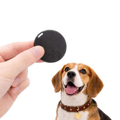 Dog Cat GPS Bluetooth 5.0 Tracker