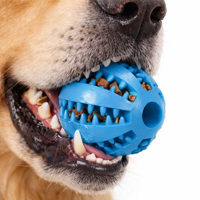 Dog Chewing Interactive Rubber Ball Toy