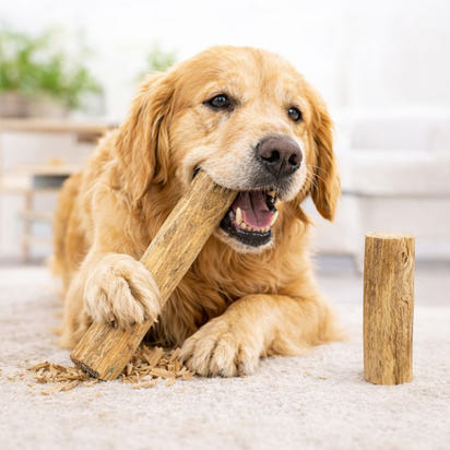 Dog Wooden Chew Stick Tooth Pressure Relief Toy