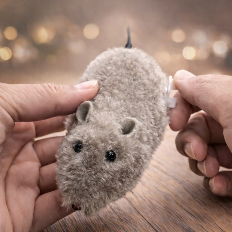 Fun and Interactive Mouse Cat Toy