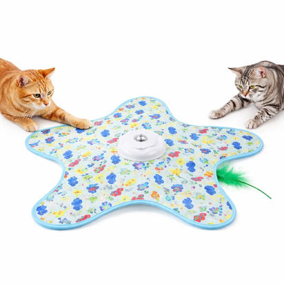 Interactive Hide and Seek Cat Toy