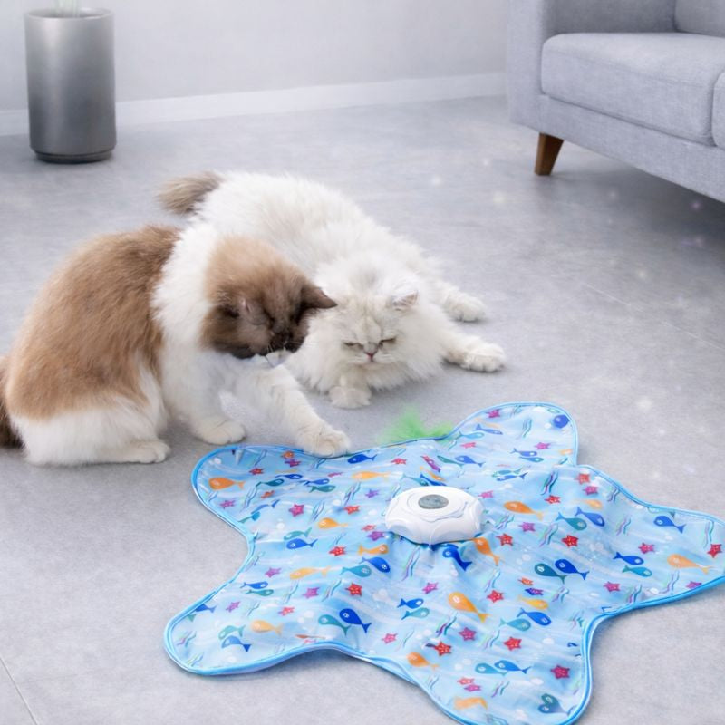 Interactive Hide and Seek Cat Toy