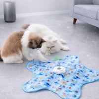 Interactive Hide and Seek Cat Toy