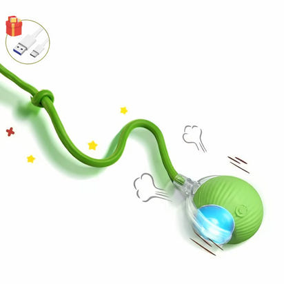 Smart Rolling Play Cat & Dog Ball Toy