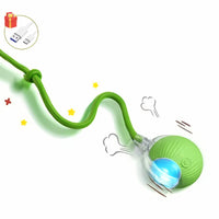Smart Rolling Play Cat & Dog Ball Toy