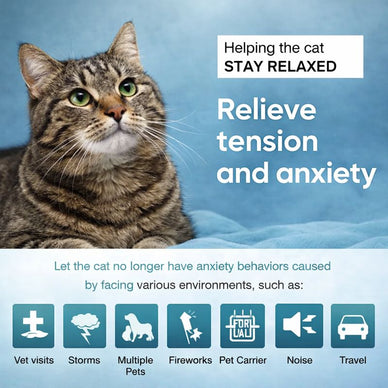 Calm, Soothe, and Relax for Pets of All Kinds