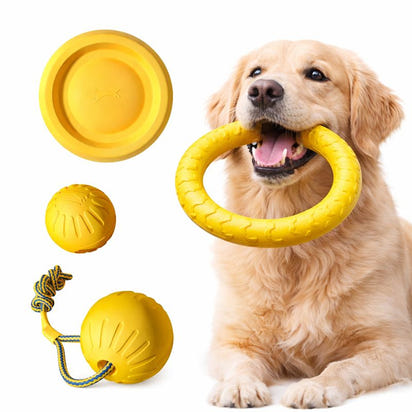 Dog Toy Bundle 4-Pack – Tough EVA Flying Disc, Ball & Tug Rope for Aggressive Chewers