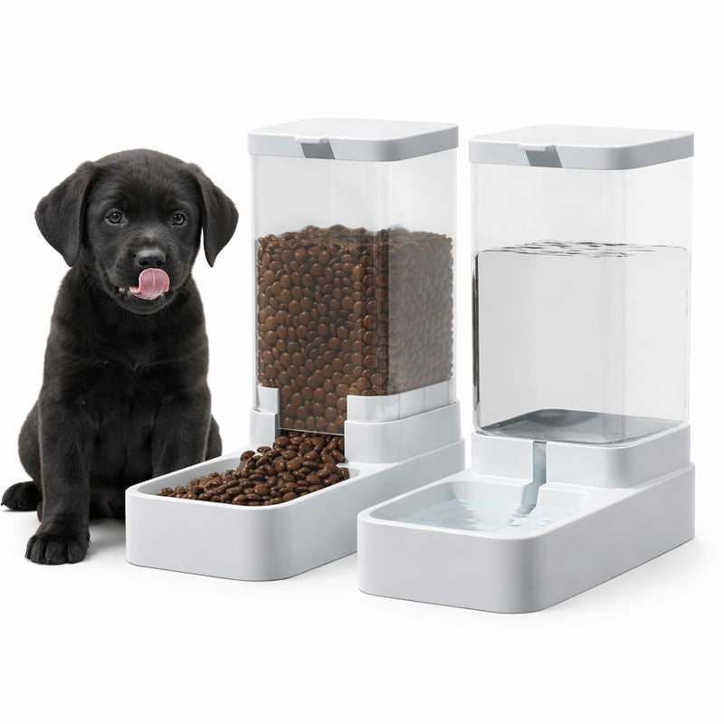 Automatic Pet Feeder and Water Dispenser