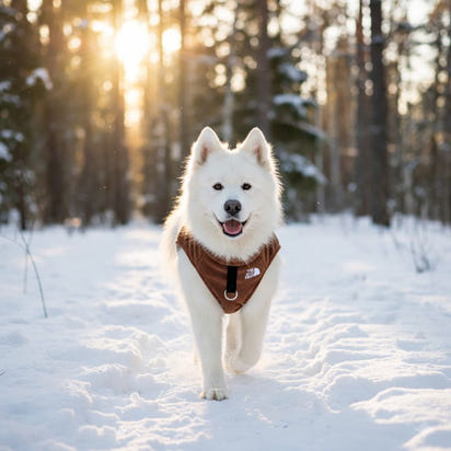 Dog Fleece Sweater Coat
