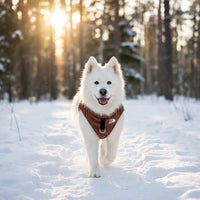 Dog Fleece Sweater Coat