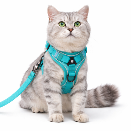 Reflective Cat Harness & Leash Set – Breathable Mesh, Adjustable Comfort Fit