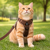 Reflective Cat Harness & Leash Set – Breathable Mesh, Adjustable Comfort Fit