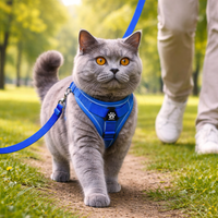 Reflective Cat Harness & Leash Set – Breathable Mesh, Adjustable Comfort Fit