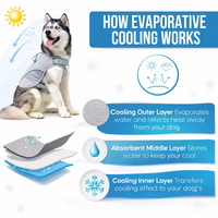 Dog Cooling Vest – Breathable Reflective Cooling Jacket for Summer Heat Protection