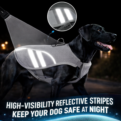 Dog Cooling Vest – Breathable Reflective Cooling Jacket for Summer Heat Protection