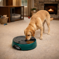 Automatic Cat & Dog Feeder - Timed Pet Food Dispenser with Portion Control