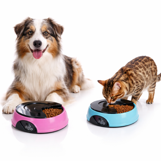 Automatic Cat & Dog Feeder - Timed Pet Food Dispenser with Portion Control