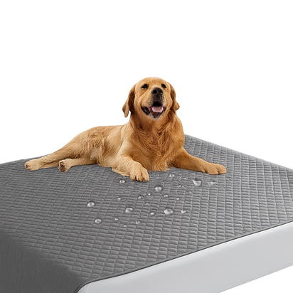 Premium Pet Protector Blanket