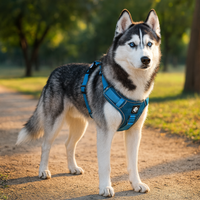 Premium Adventure Dog Harness