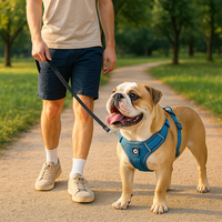 Premium Adventure Dog Harness