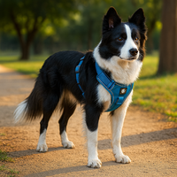 Premium Adventure Dog Harness