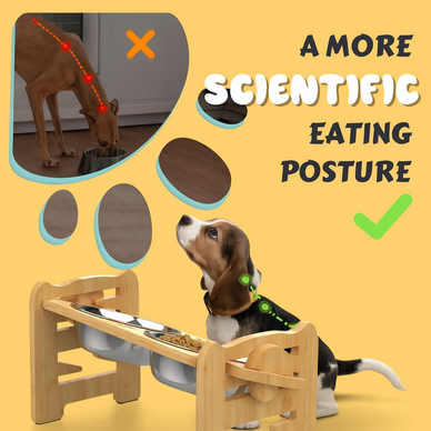 Because Comfort Should Be Part of Every Meal