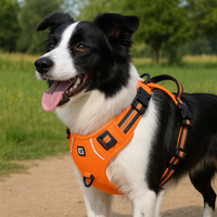 Comfort Control No Pull Dog Harness