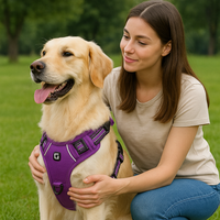 Comfort Control No Pull Dog Harness