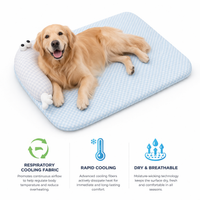 Luxury Silk Padded Cooling Mat for Dogs & Cats