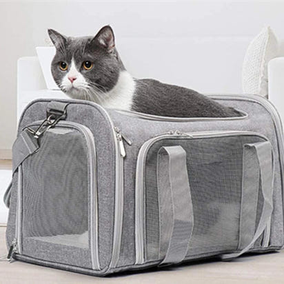 Foldable Soft Dog & Cat Travel Bag - Airline Approved
