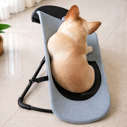 Elevated Pet Rocking Bed