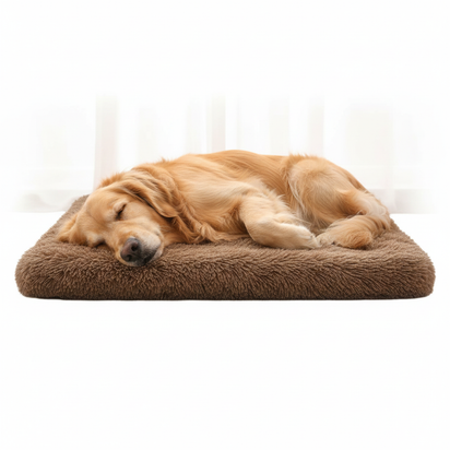 Calming Dog Sofa Bed