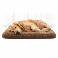 Calming Dog Sofa Bed