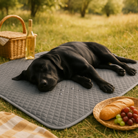 Premium Pet Protector Blanket