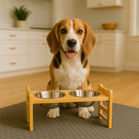 Elevated Bamboo Pet Feeder Stand