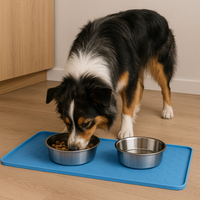 Premium Pet Feeding Mat