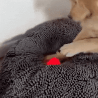 Automatic Rolling, Never Ending Joy.