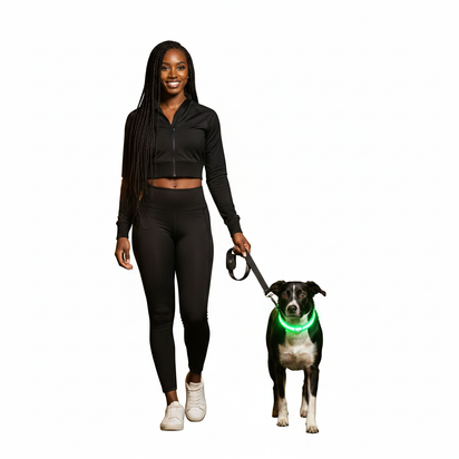 GlowSafe LED Dog Collar